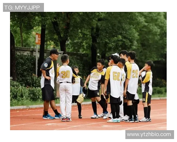 深圳网球队的辉煌征程与冠军赛背后的奋斗故事